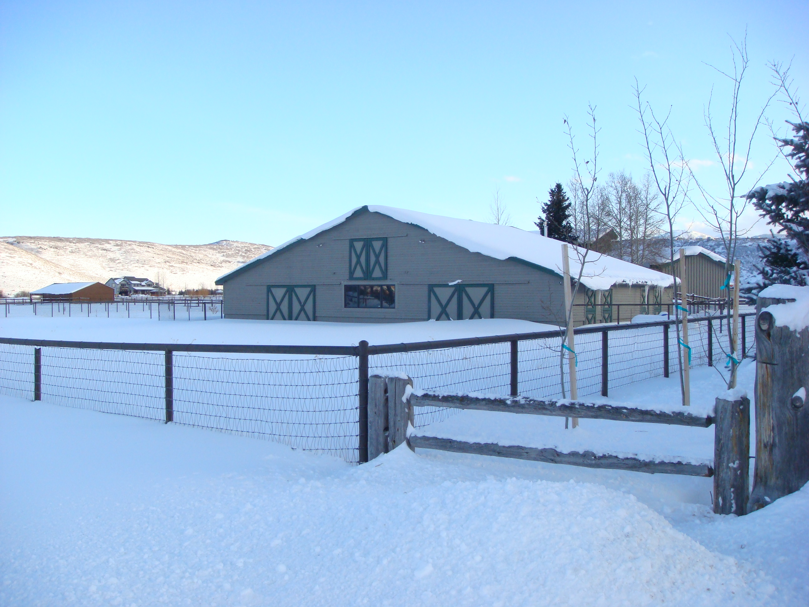 BERNESE POWDER KEG FARM
