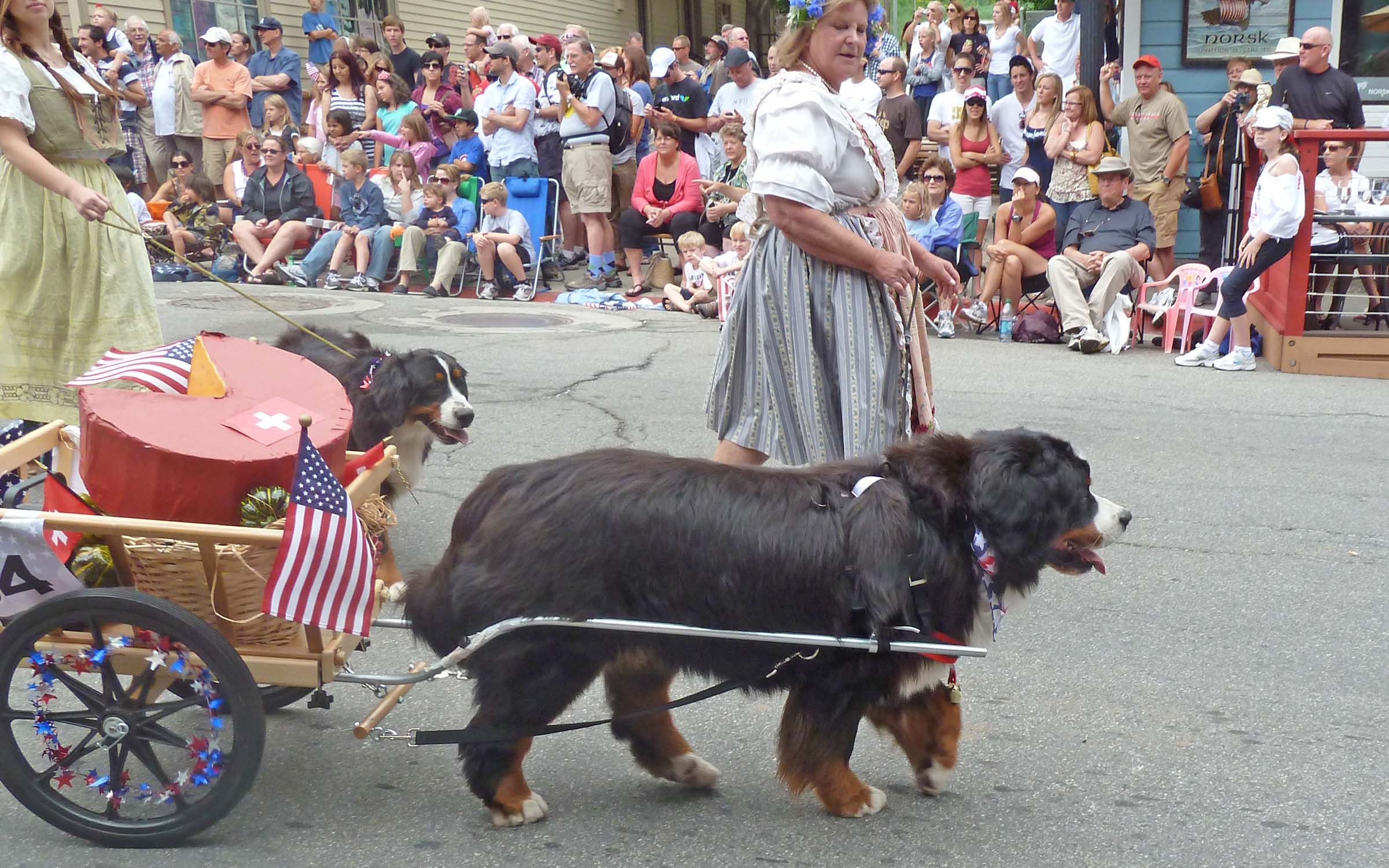 Bernese Park City Utah