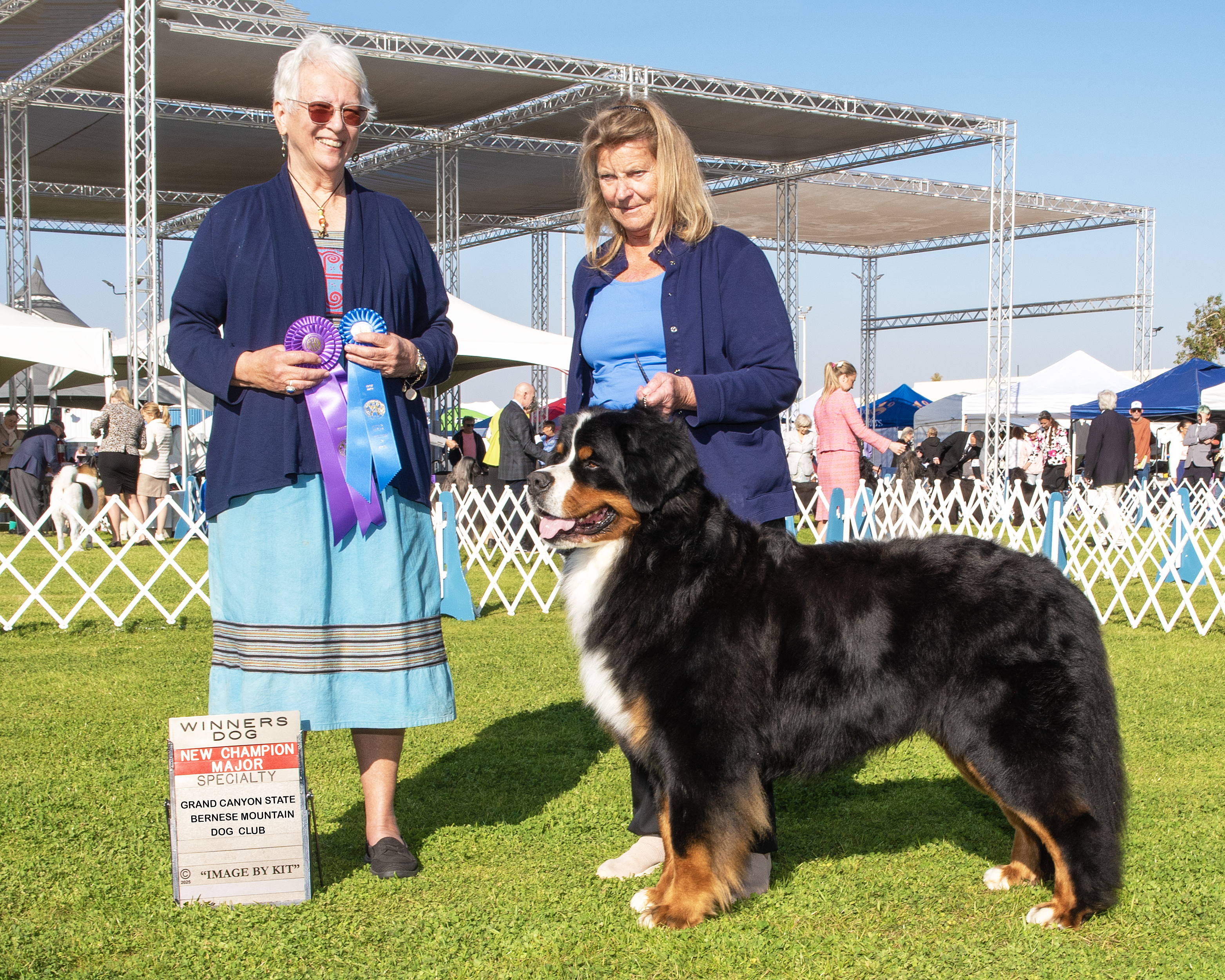 Bjorn champion Bernese Mountain Dog